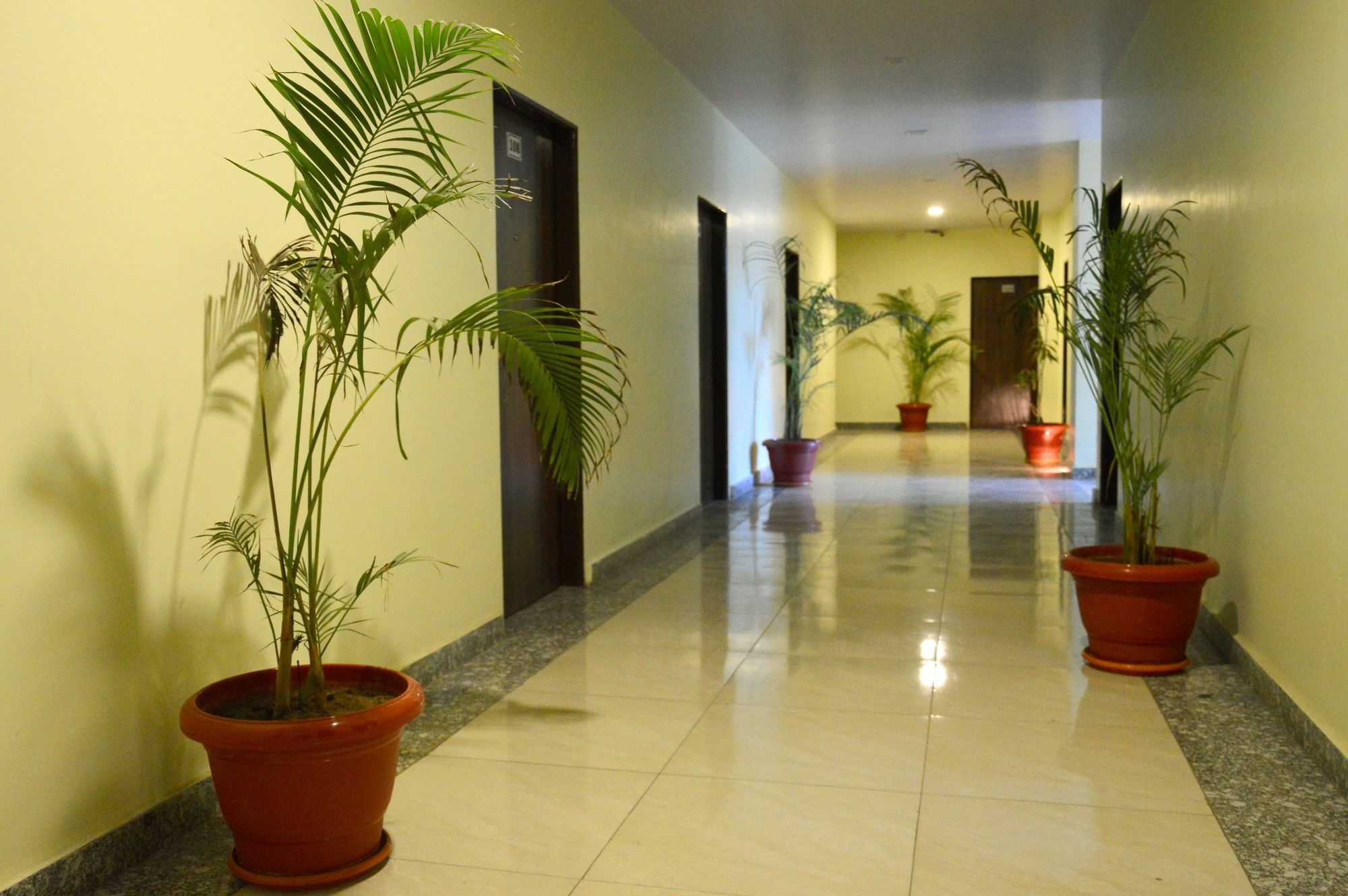 Oyo 6697 Hotel Green Lemon Jaipur Ngoại thất bức ảnh